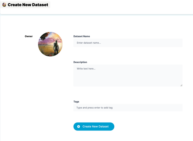 New dataset form page
